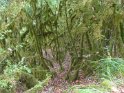 2016-09-19 12-02-49 Rando St Cirq Lapopie MBo